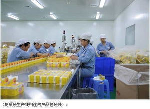 河北省全面啟動保健食品及茶葉制品生產(chǎn)經(jīng)營許可換證工作，筑牢安全防線