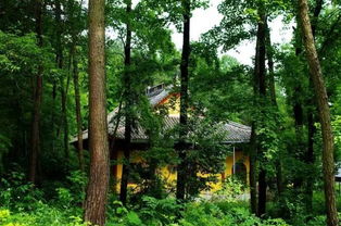 本周金華入伏了 但是金華人的夏天卻只有25 原來......