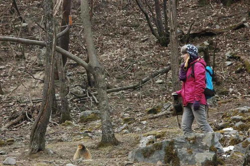 講述 全家福 故事 44 樹林讓我想起家的溫暖