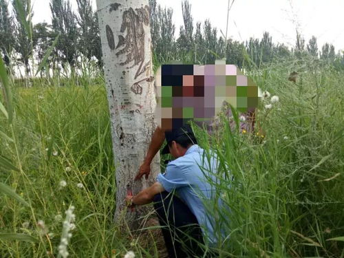 樹木鉆眼靈武公安智破毀壞林木案