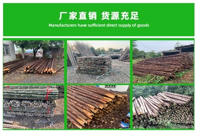 上海綠化支撐桿 綠化支撐桿批發廠家 宣城恒林木業