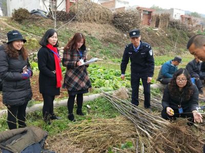 林木種苗行政執法體系建設,構建公平公正和諧的林木種苗發展環境