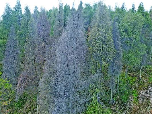 貴州臺江經開區回應 整改3年污染不減反增 相關企業停產