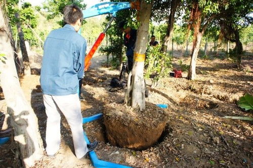 挖樹機(jī) 鋸齒挖樹機(jī) 多功能挖樹機(jī)使用說明