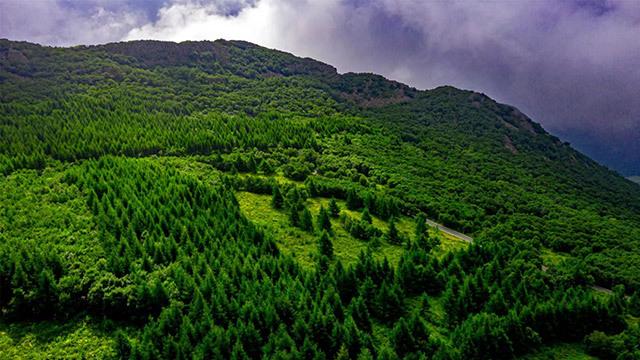 推動&ldquo;五大任務(wù)&rdquo;見行見效,突泉縣這樣做!