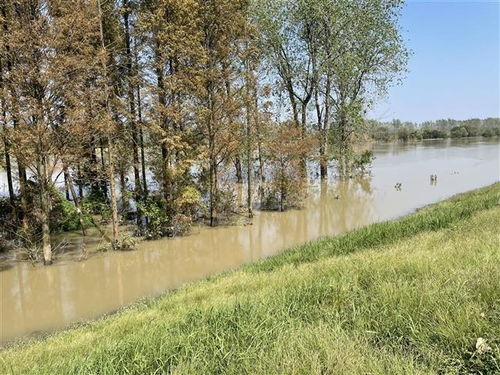 湖北省終止水旱災(zāi)害防御iv級應(yīng)急響應(yīng)