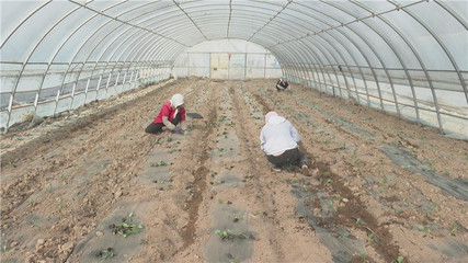 【奮進新征程 建功新時代】高臺:開足馬力加油干 沖刺首季&ldquo;開門紅&rdquo;