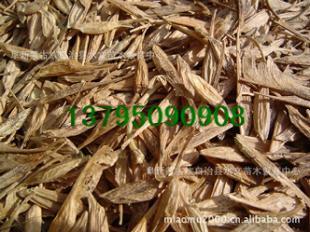 糖槭種子,林木種子.造林種子.種子市場行情_農(nóng)副產(chǎn)品_世界工廠網(wǎng)