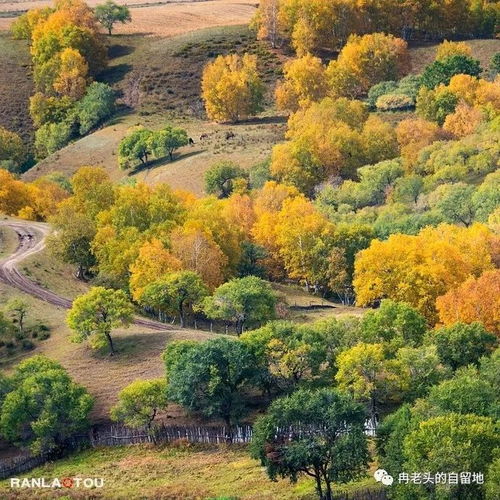 烏蘭布統的秋天 6