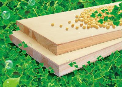 武漢將成俄羅斯木材中東部地區(qū)集散中心_