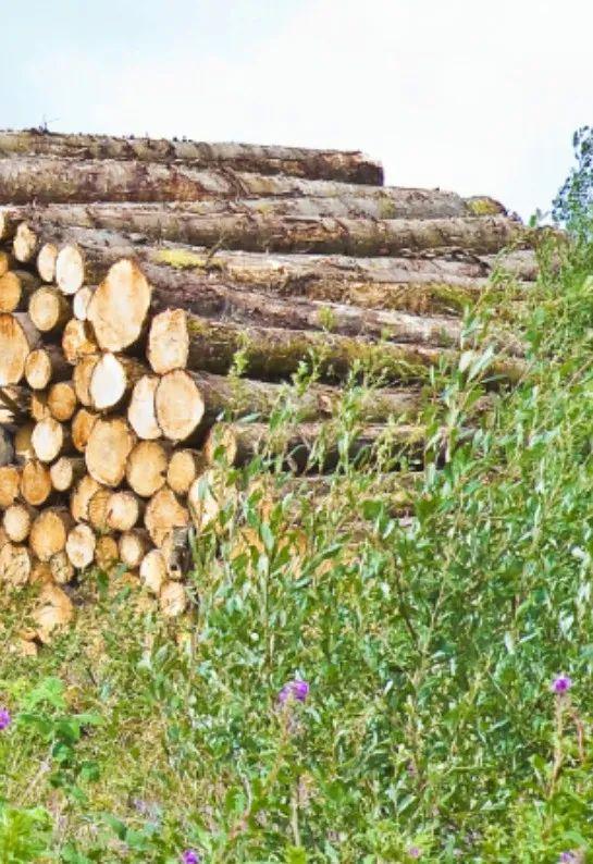 武平法院村居法官普法專欄第13期 生態環境篇