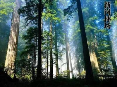 和美懷集,一個值得你來了又來的地方!