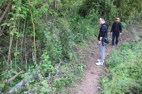 樂至檢方對(duì)一起濫伐林木案提起公益訴訟