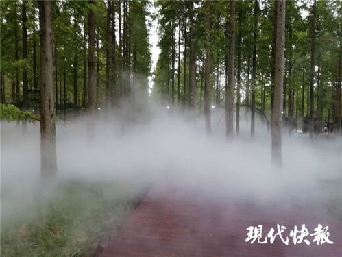 江蘇林木種苗與林下經(jīng)濟(jì)產(chǎn)業(yè)協(xié)同發(fā)展，總產(chǎn)值突破746億元